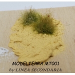 MODELTERRA MT001